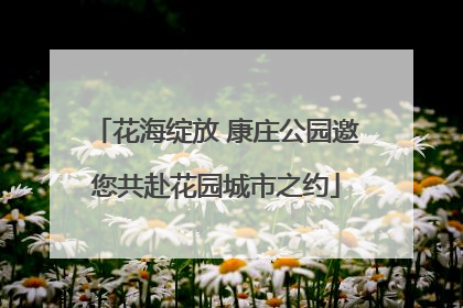 花海绽放 康庄公园邀您共赴花园城市之约