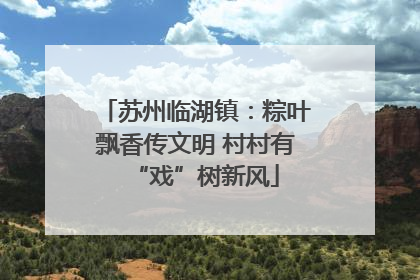 苏州临湖镇：粽叶飘香传文明 村村有“戏”树新风