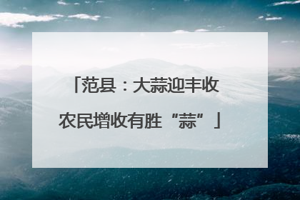 范县：大蒜迎丰收 农民增收有胜“蒜”