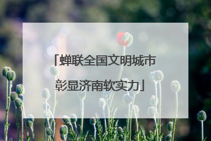 蝉联全国文明城市 彰显济南软实力