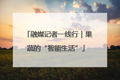融媒记者一线行｜果蔬的“智能生活”