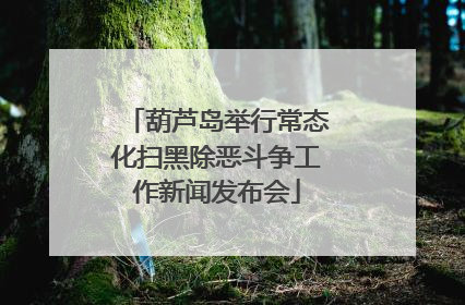 葫芦岛举行常态化扫黑除恶斗争工作新闻发布会
