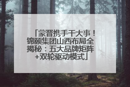 蒙晋携手干大事！锦颐集团山西布局全揭秘：五大品牌矩阵+双轮驱动模式