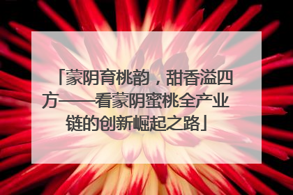 蒙阴育桃韵，甜香溢四方——看蒙阴蜜桃全产业链的创新崛起之路