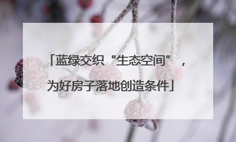 蓝绿交织“生态空间”，为好房子落地创造条件