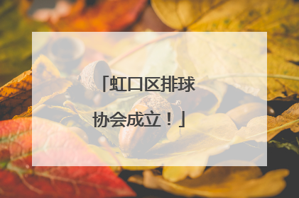 虹口区排球协会成立！