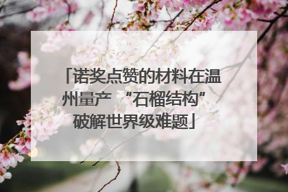 诺奖点赞的材料在温州量产 “石榴结构”破解世界级难题