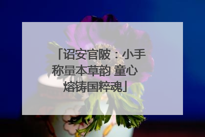 诏安官陂：小手称量本草韵 童心熔铸国粹魂