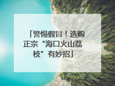警惕假冒！选购正宗“海口火山荔枝”有妙招