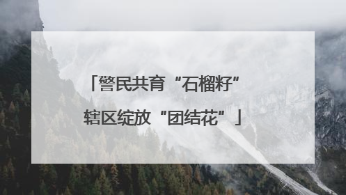 警民共育“石榴籽” 辖区绽放“团结花”