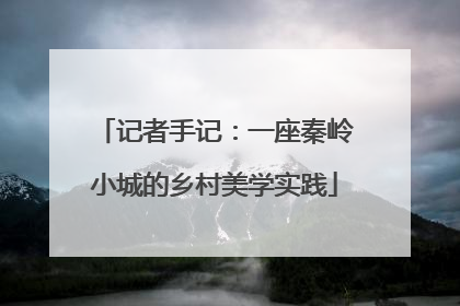 记者手记：一座秦岭小城的乡村美学实践