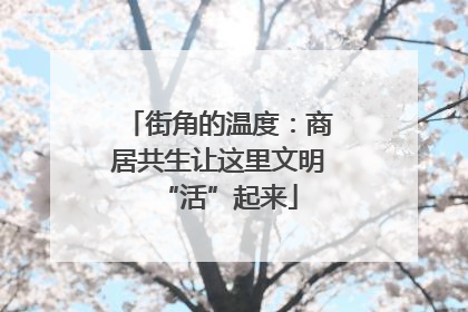 街角的温度：商居共生让这里文明“活”起来