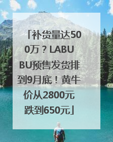 补货量达500万？LABUBU预售发货排到9月底！黄牛价从2800元跌到650元