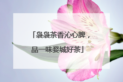 袅袅茶香沁心脾，品一味婺城好茶
