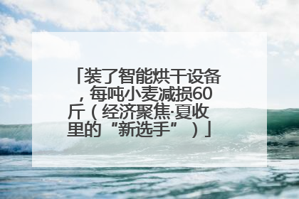 装了智能烘干设备，每吨小麦减损60斤（经济聚焦·夏收里的“新选手”）