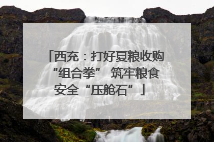 西充：打好夏粮收购“组合拳” 筑牢粮食安全“压舱石”