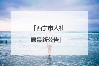 西宁市人社局最新公告