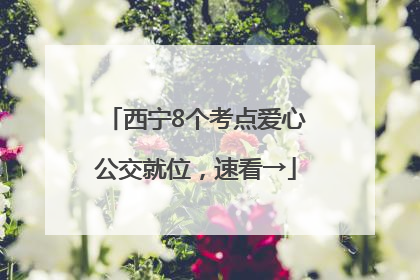 西宁8个考点爱心公交就位，速看→