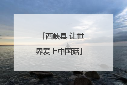 西峡县 让世界爱上中国菇