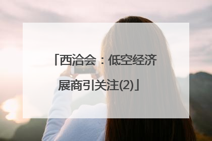 西洽会：低空经济展商引关注(2)