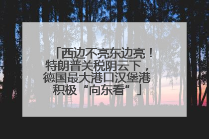 西边不亮东边亮！特朗普关税阴云下，德国最大港口汉堡港积极“向东看”