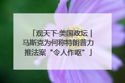 观天下·美国政坛｜马斯克为何称特朗普力推法案“令人作呕”