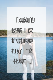 观潮的螃蟹丨保护耕地要打好“文化牌”