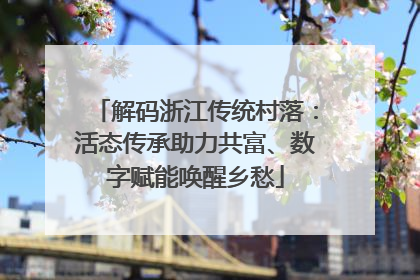解码浙江传统村落：活态传承助力共富、数字赋能唤醒乡愁