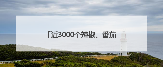 近3000个辣椒、番茄、玉米等蔬果新品种亮相，成都种业博览会在蓉开幕