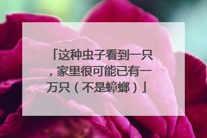 这种虫子看到一只，家里很可能已有一万只（不是蟑螂）