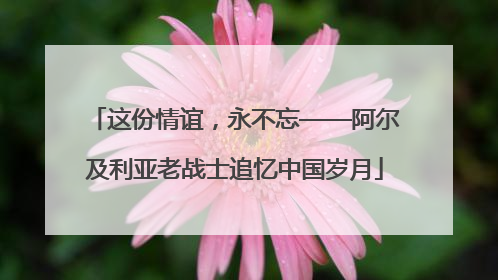 这份情谊，永不忘——阿尔及利亚老战士追忆中国岁月