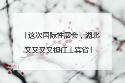 这次国际性展会,湖北又又又又担任主宾省