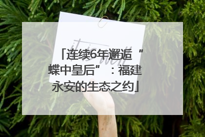 连续6年邂逅“蝶中皇后”：福建永安的生态之约