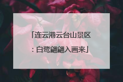 连云港云台山景区：白鹭翩翩入画来