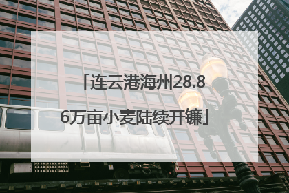 连云港海州28.86万亩小麦陆续开镰
