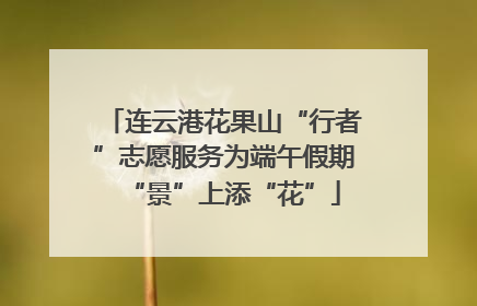 连云港花果山“行者”志愿服务为端午假期“景”上添“花”