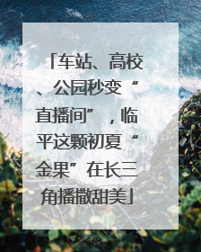 车站、高校、公园秒变“直播间”，临平这颗初夏“金果”在长三角播撒甜美
