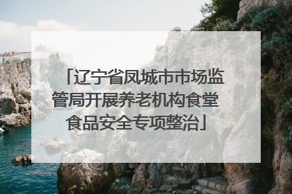 辽宁省凤城市市场监管局开展养老机构食堂食品安全专项整治