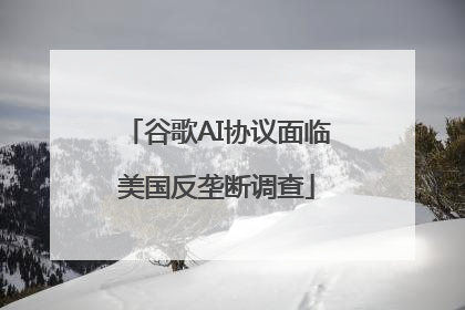 谷歌AI协议面临美国反垄断调查
