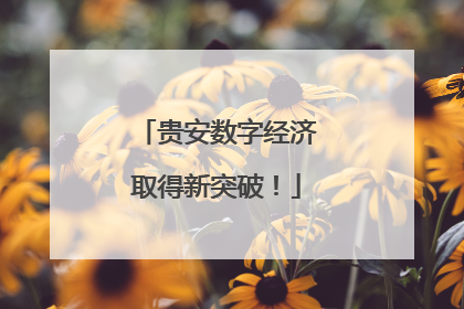 贵安数字经济取得新突破！
