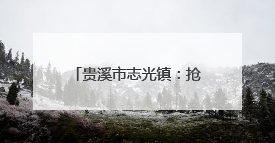 贵溪市志光镇：抢抓农时促丰收，科技赋能保粮安（图）