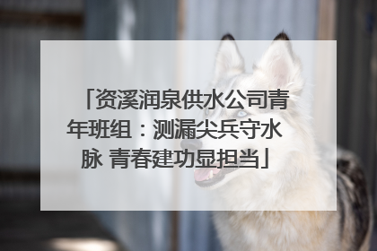 资溪润泉供水公司青年班组：测漏尖兵守水脉 青春建功显担当