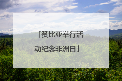 赞比亚举行活动纪念非洲日