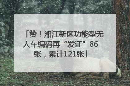赞！湘江新区功能型无人车编码再“发证”86张，累计121张