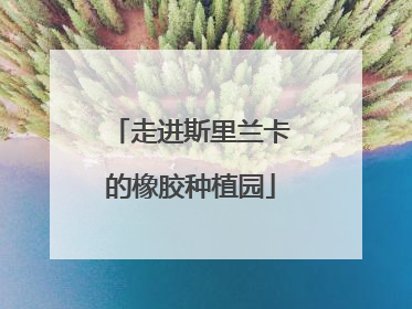 走进斯里兰卡的橡胶种植园