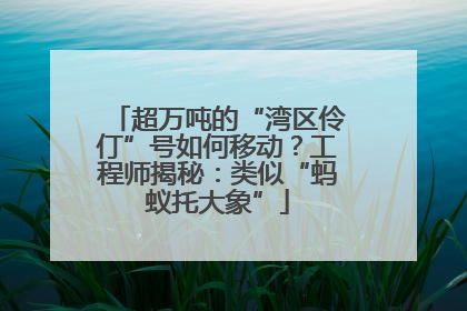 超万吨的“湾区伶仃”号如何移动？工程师揭秘：类似“蚂蚁托大象”