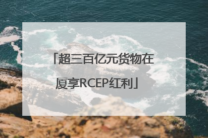 超三百亿元货物在厦享RCEP红利