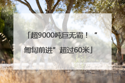 超9000吨巨无霸！“匍匐前进”超过60米
