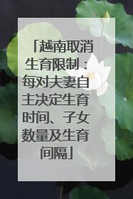 越南取消生育限制：每对夫妻自主决定生育时间、子女数量及生育间隔