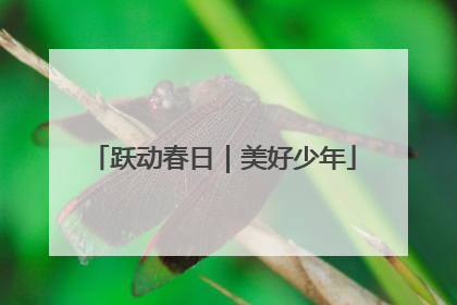 跃动春日｜美好少年